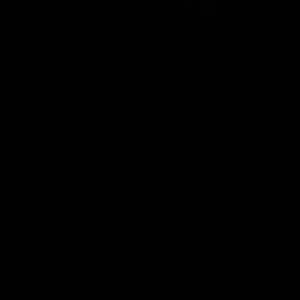 Meet your Posher, Vincent